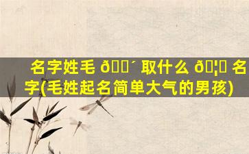 名字姓毛 🐴 取什么 🦁 名字(毛姓起名简单大气的男孩)